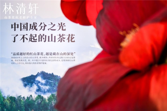林清轩21周年进化之路OG网站偶然与必然——(图9)