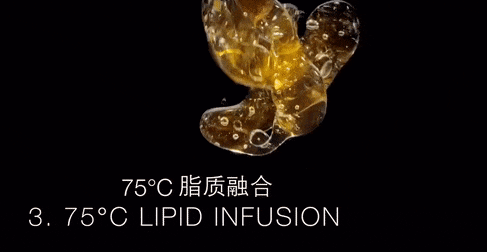 带面霜+黑绷带眼霜抗皱紧实淡化纹路OG视讯“贵妇”都在用！赫莲娜黑绷(图1)